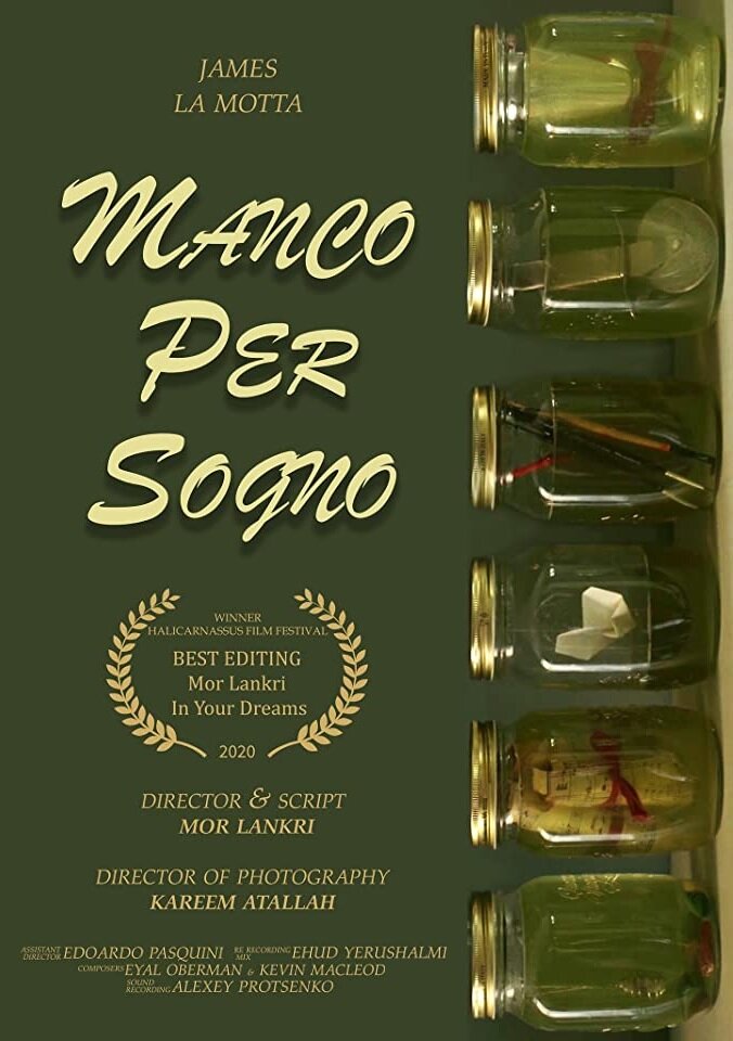 Manco per sogno (2020) постер